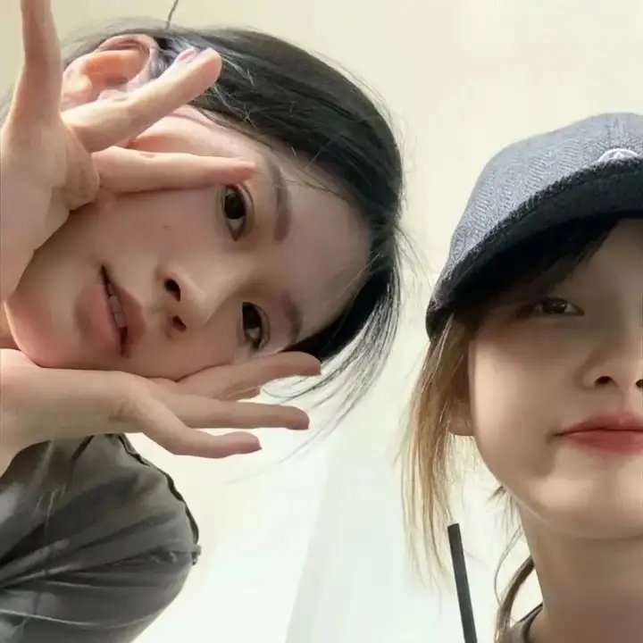 威尔科克斯生存记